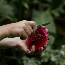 Load image into Gallery viewer, Ninja Bites - Travel Cutlery Set